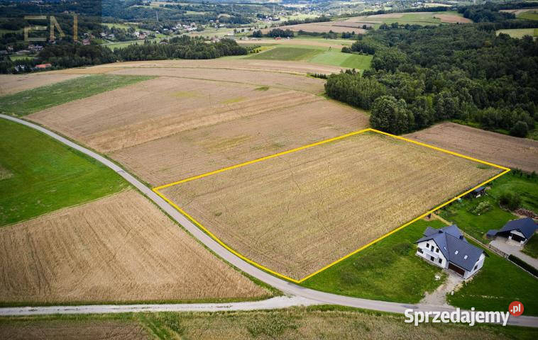 sprzedaży gruntu 10989m2 Lubla