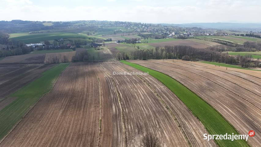 Działka 7200m2 Moszczenica