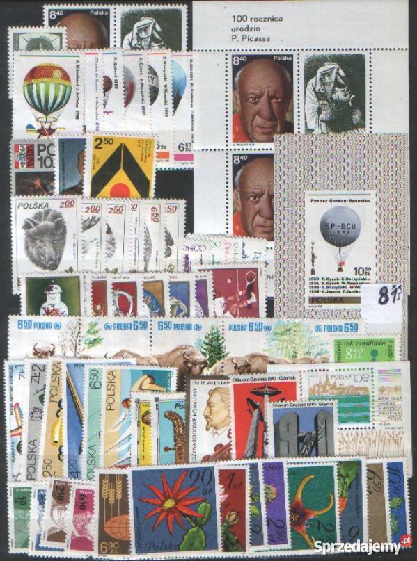 Zn Rocznik 1981 Gliwice