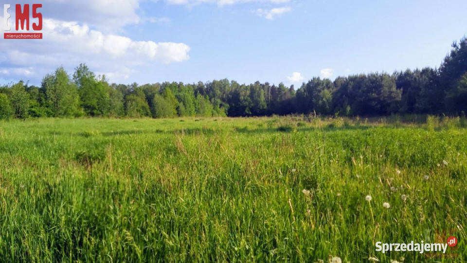 sprzedaży gruntu Henrykowo Złota 1279 metrów