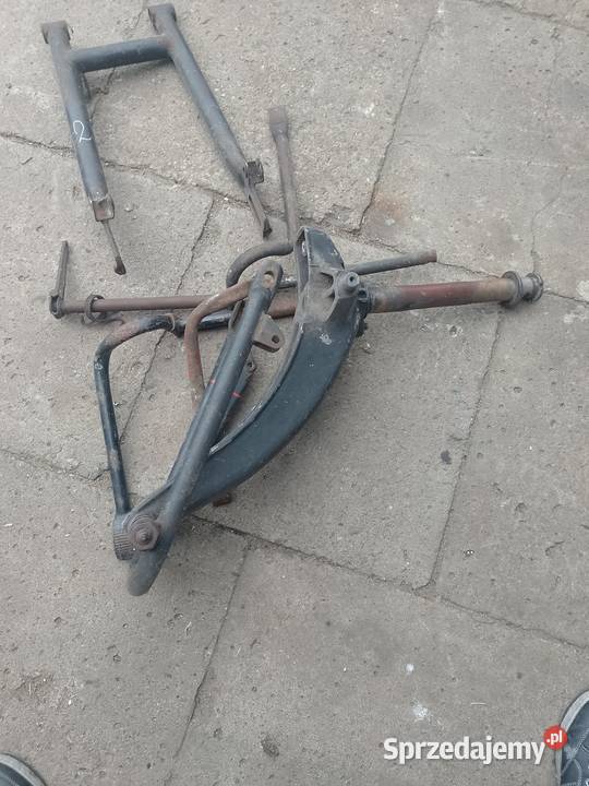 Mz trophymz jaskółka Bełchatów