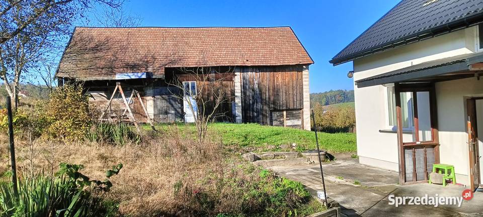 Sprzedam gospodarstwo rolne 4839zł/m2 Jodłowa