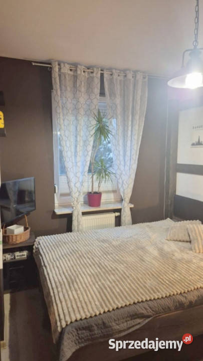 3 pok 4916m2 Jabłonna sprzedam