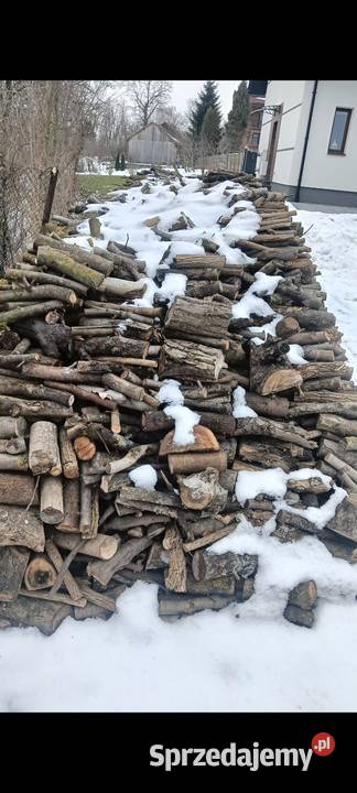 drewo Kazimierza Wielka