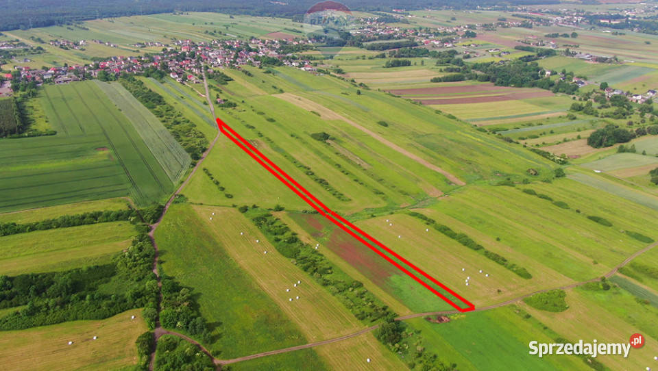Działka rolna PorębaNiwki śląskie Poręba