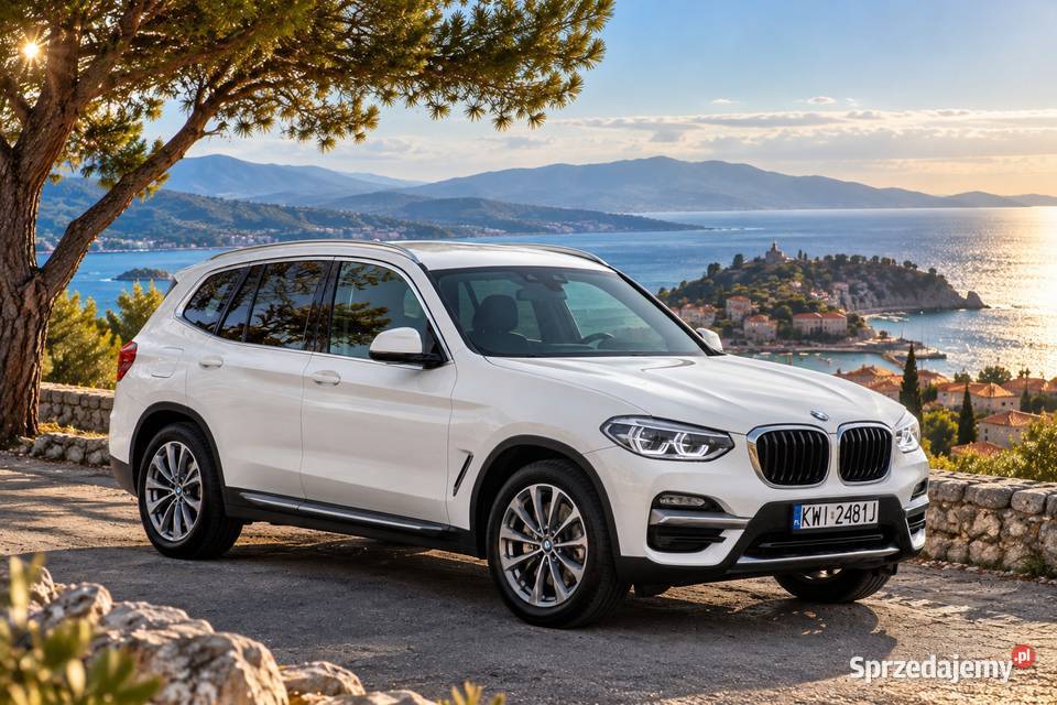 BMW X3 xDrive30i 252 Luxury Line 2019 75 300 75300km