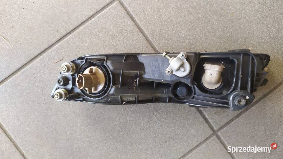 Ssang Yong rexton halogen prawy