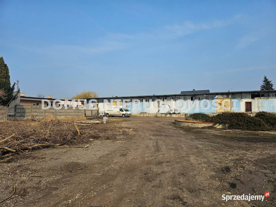 wynajmu lokalu 250m2 Brzeziny sprzedam