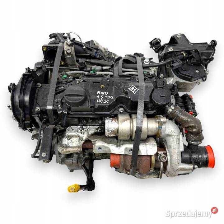 SILNIK UGJC Ford Fiesta VII MK7 B B 15 TDCI 75 Chełm