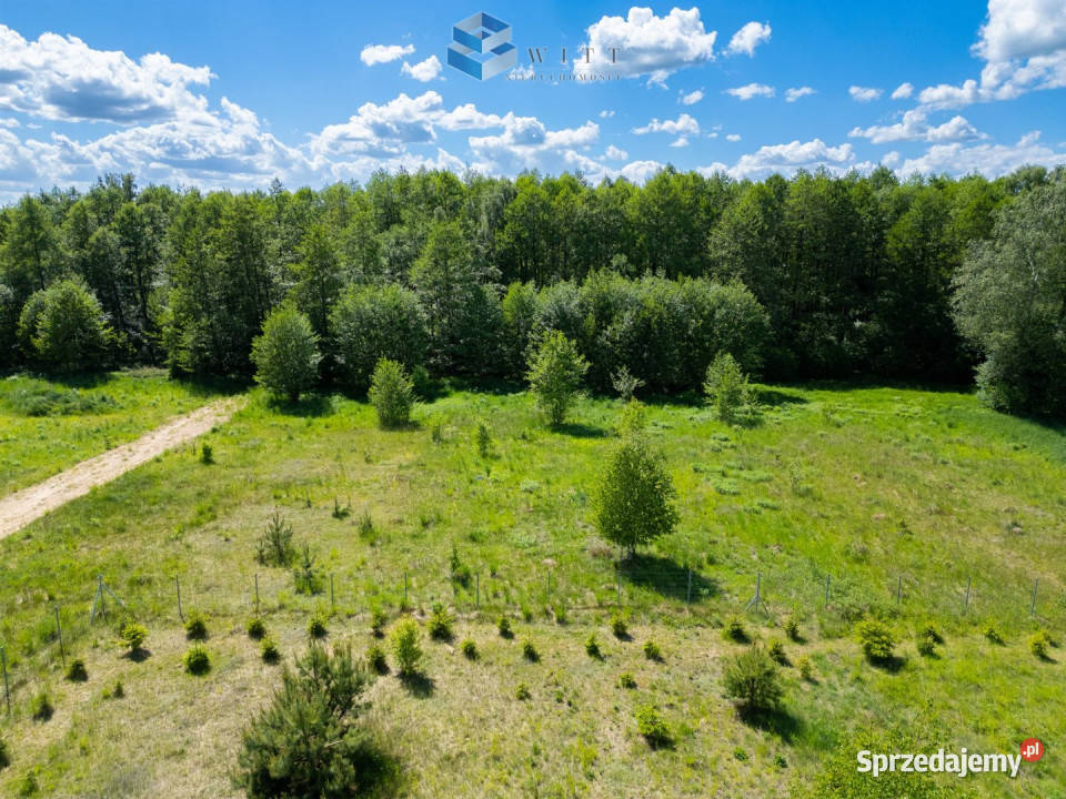 Ogłoszenie grunt Ostrowite 3200m2