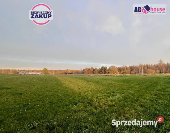 Grunt 2346m2 Pomlewo Kasztanowa pomorskie