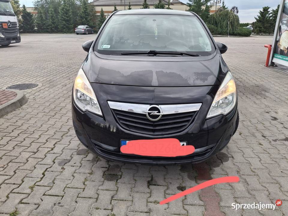 Sprzedam Merve Blizanów