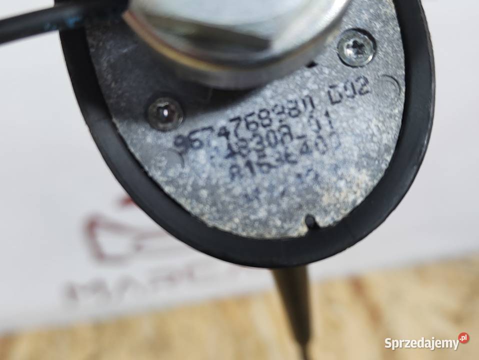 Antena Dachowa Peugeot 301 Citroen C Elysee osobowe wielkopolskie Pleszew