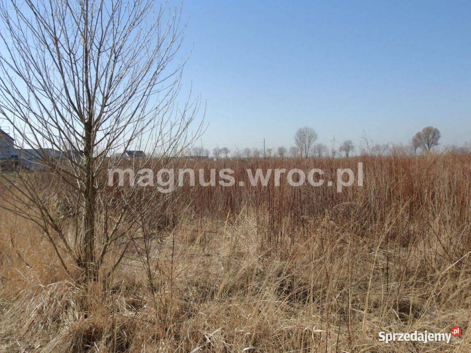 Działka zagrodowa w Suchym Dworze