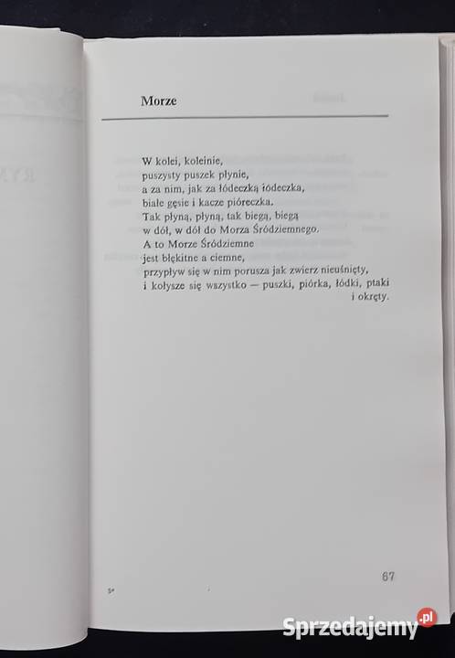Kazimiera Iłłakowiczówna Sługi nieużyteczne Wyd Koźminek