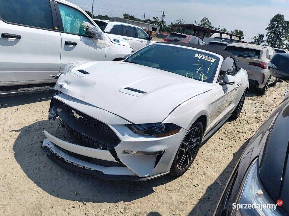 Ford Mustang 23 Ecoboost CABRIO 2020 w drodze do 310KM Żórawina
