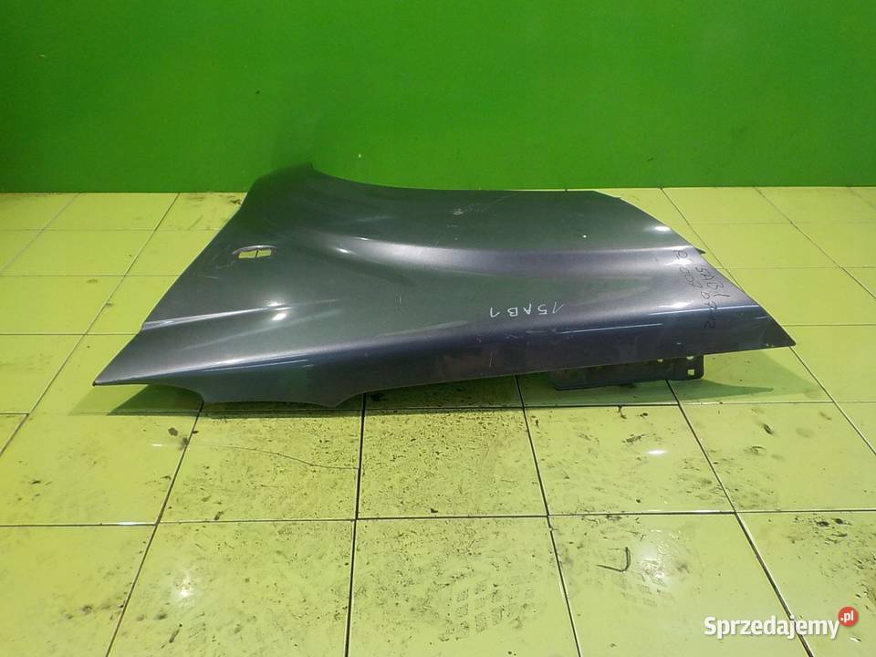 PEUGEOT 4007 22 HDI 11r 5D blotnik lewy przod