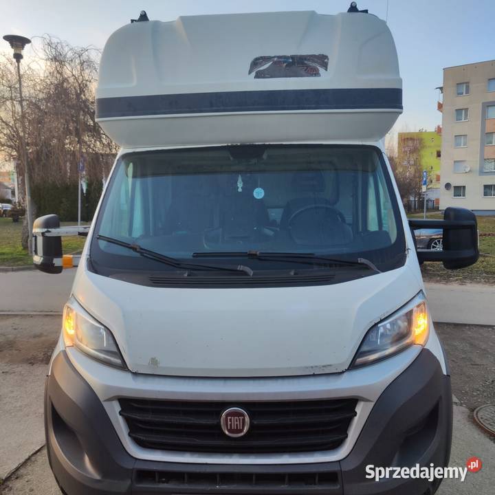 Fiat Ducato 30 diesel izoterma chłodnia diesel Nysa