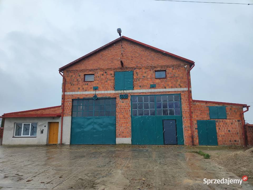 Hala magazynowo produkcyjna Września