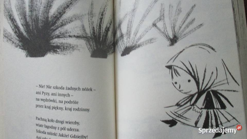 Pyza na polskich dróżkach HJanuszewska łódzkie