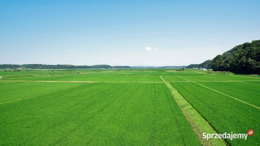 Działka Budowlana 900 m2 SELGROS Wrocław 967zł/m2