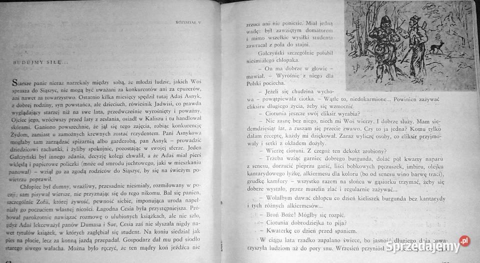 Dziedzictwo Tom 1 Zofia Kossak Chełm