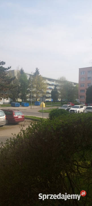 Sprzedam Mieszkanie w Skoczowie Gustawa Morcinka 8365zł/m2 Skoczów