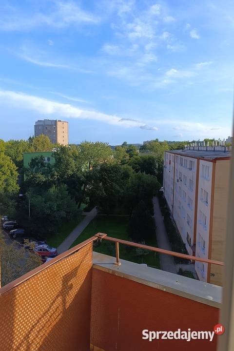 Mieszkanie na sprzedaż trzy pokojowe 57 metrów Liczba pokoi 3 Kraków sprzedam