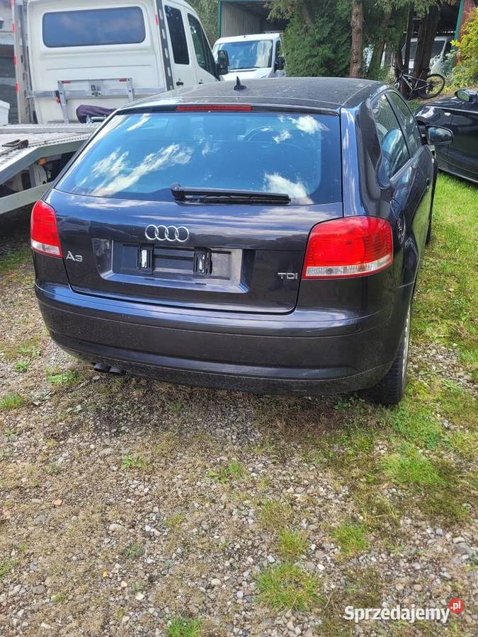 Audi a3 19 TDi 1900cm3 Sędziszów Małopolski