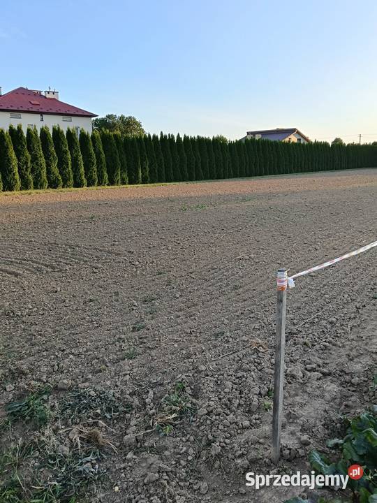 Działka budowlana na sprzedaż w Korczynie Korczyna sprzedam