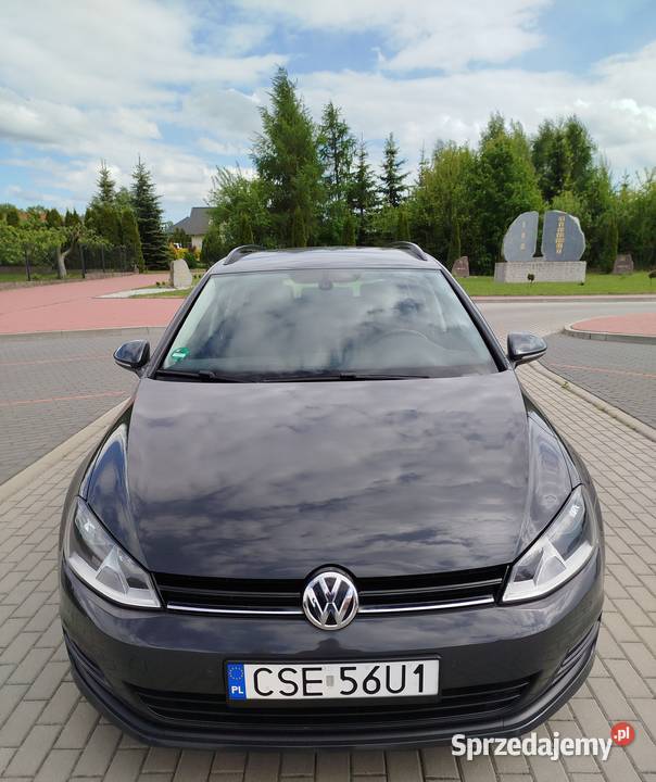 Golf VII 16 TDI BlueTDI 2014r diesel pomorskie Chojnice