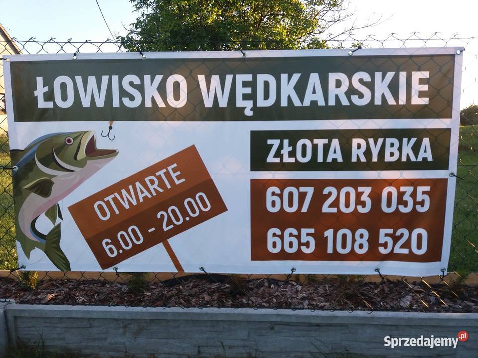 ŁOWISKO ZŁOTA RYBKA Ryby Rukosin