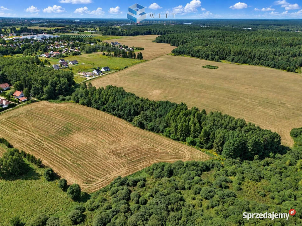 sprzedaży gruntu Zwierzewo 3124m2 sprzedam