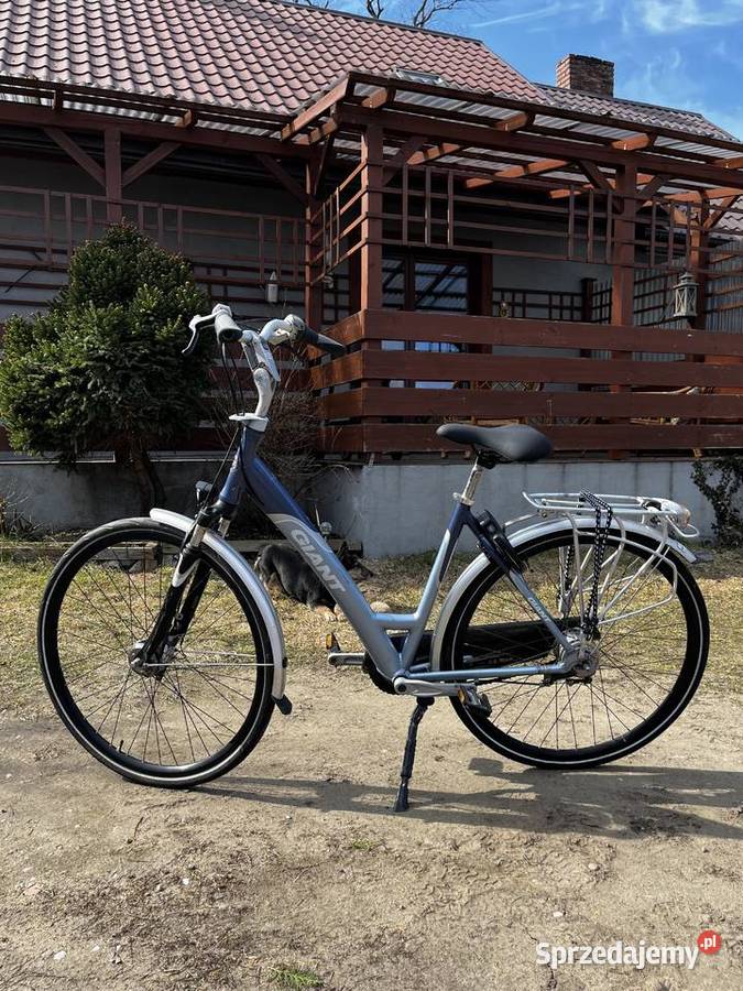 Rower holenderski Giant Shimano Nexus Miejskie Turek