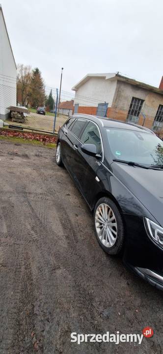 Opel Insignia 2019 super Dębica