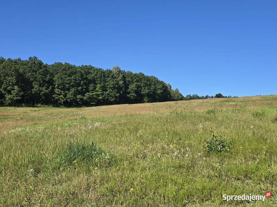 Budowlana jeziorem Tejstymy sprzedam