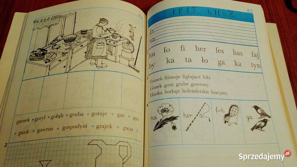 Czytam piszę i rysuję nowe ćwiczenia klasy 1 Gdańsk