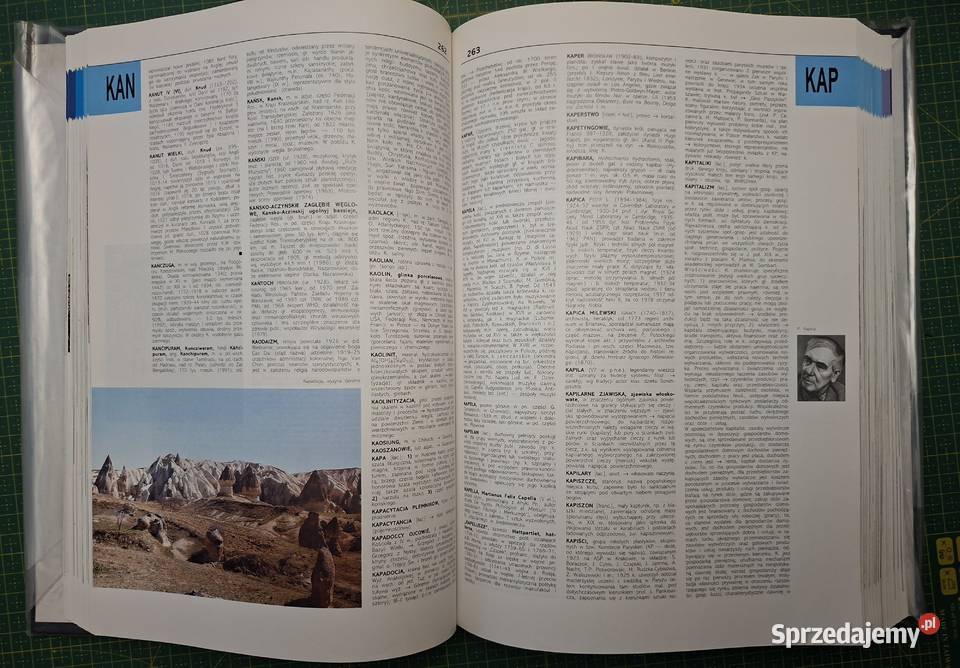 Nowa Encyklopedia Powszechna 6 tomów PWN Rok wydania 1998 Książki naukowe i popularnonaukowe