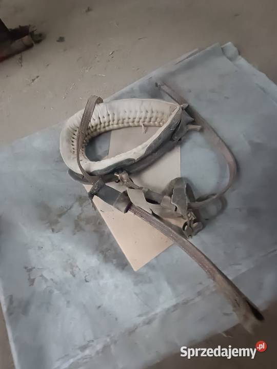 Humunto konne Antyki, Sztuka, Kolekcje Bugaj Lipnicki sprzedam