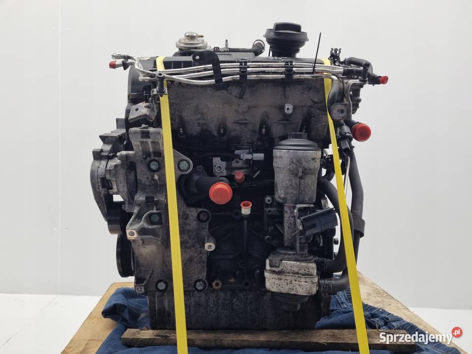 SILNIK VW Golf V Jetta III Touran Passat B6 19 Rudka