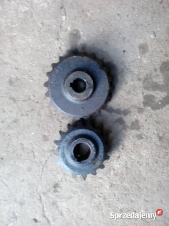 Kola zebate kujawsko-pomorskie Lipno