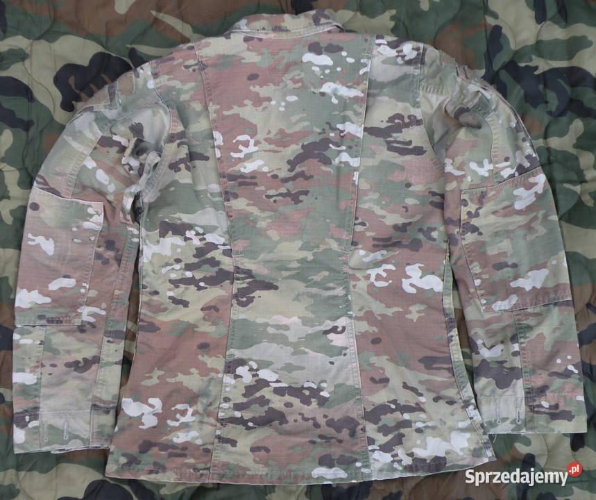Bluza ACU multicam OCP 30 regular Female dolnośląskie Wrocław