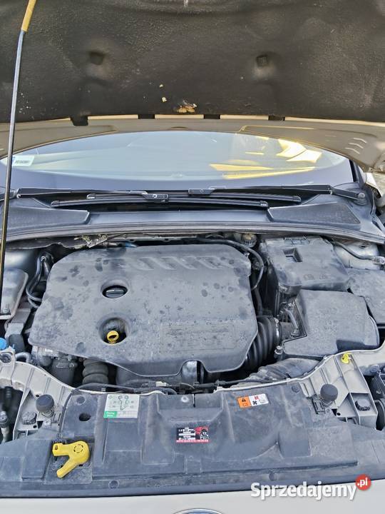 Ford Focus 2015r 16 TDCI Niemce