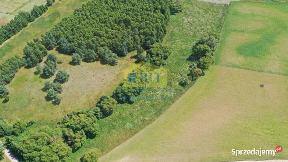 Działka 3500 m2 Chlebowo Jeziorem Siecino sprzedam