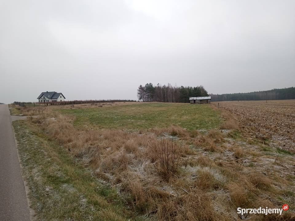 Działka budowlana 2695m2 w Lubowidzu woj 85zł/m2 Sprzedaż Lubowidz sprzedam