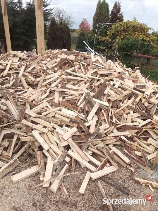 Drewno cięte na opał rozpałkowe Kraczkowa