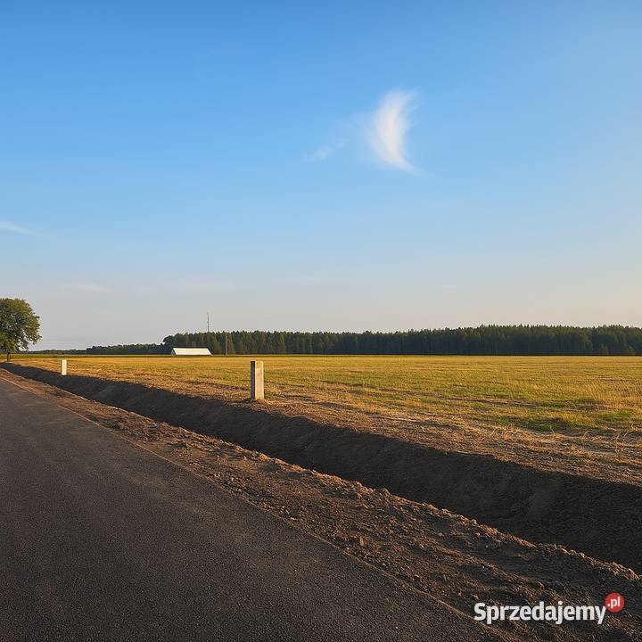 Działki Budowlane w Dogodnej Lokalizacji Gorzyce Wielkie