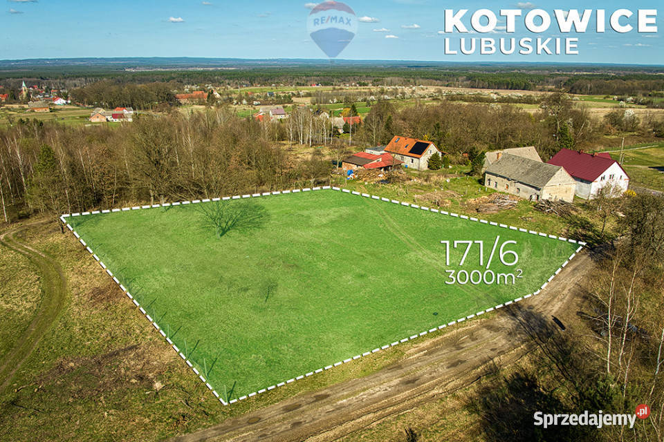 Działka w Kotowicach z warunkami zabudowy 3000m2 Sprzedaż Kotowice