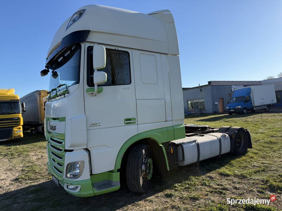 DAF XF 460 FT Wyprzedaż zielony Samochody ciężarowe Bartoszyce