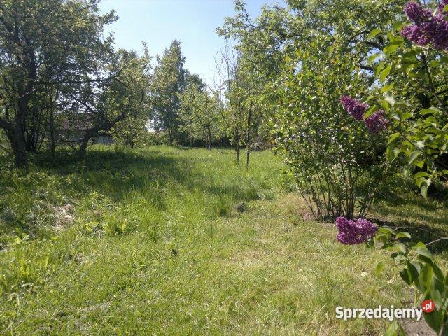 Dwa domy wolnostojące Jura Krakowsko Częstochows Liczba pokoi 3 Mirów